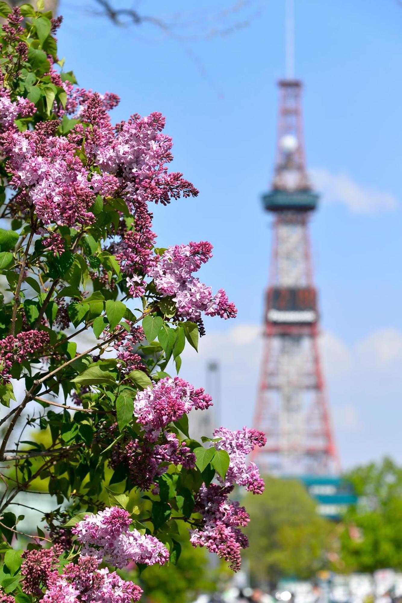 貸切3階建て Pon Yama Sapporo Villa Exterior photo